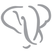 Elephant Ventures