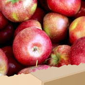 Fresh Direct - Apple Box