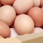 Fresh Direct - Egg Box